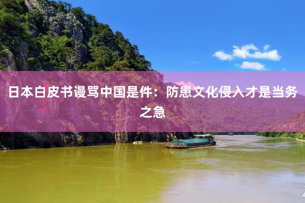 日本白皮书谩骂中国是件：防患文化侵入才是当务之急
