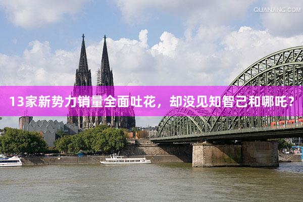 13家新势力销量全面吐花，却没见知智己和哪吒？