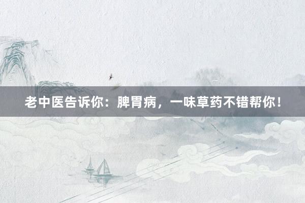 老中医告诉你:脾胃病,一味草药不错帮你!