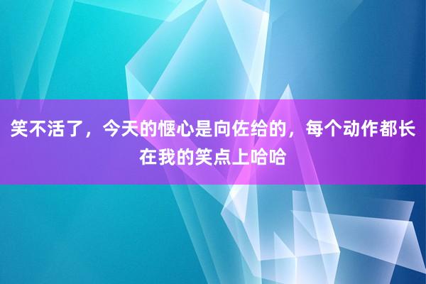 笑不活了，今天的惬心是向佐给的，每个动作都长在我的笑点上哈哈