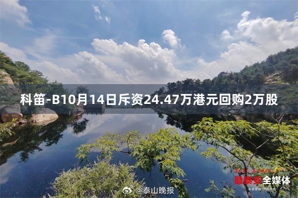 科笛-B10月14日斥资24.47万港元回购2万股