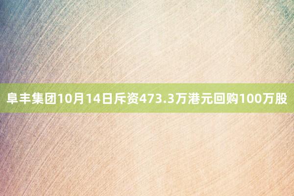 阜丰集团10月14日斥资473.3万港元回购100万股