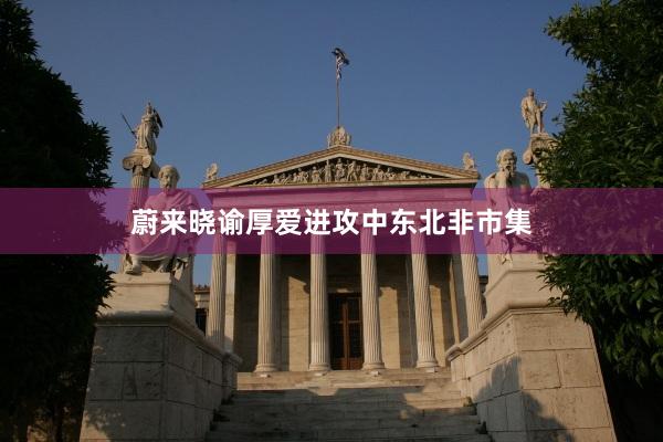 蔚来晓谕厚爱进攻中东北非市集