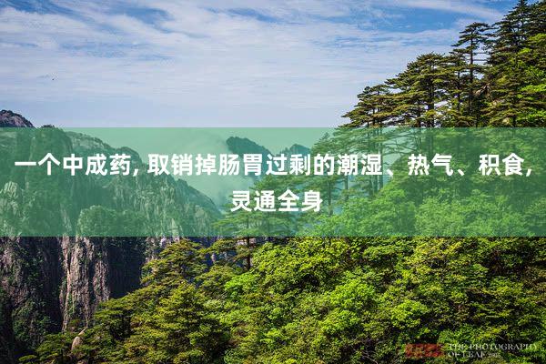 一个中成药, 取销掉肠胃过剩的潮湿、热气、积食, 灵通全身