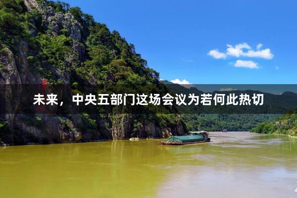 未来，中央五部门这场会议为若何此热切