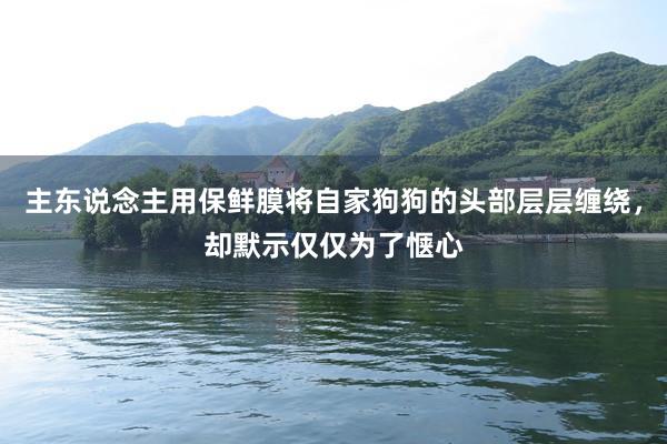 主东说念主用保鲜膜将自家狗狗的头部层层缠绕，却默示仅仅为了惬心